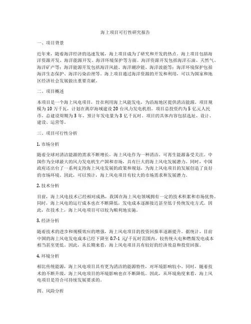海上项目可行性研究报告