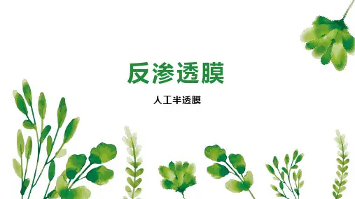 反渗透膜    