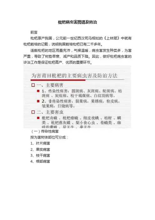 枇杷病虫害图谱及防治