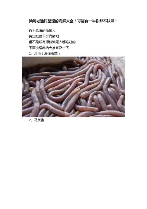 汕尾老渔民整理的海鲜大全！可能有一半你都不认识！