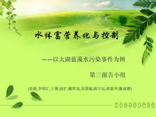 水体富营养化及控制