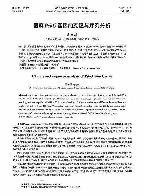 蓖麻PsbO基因的克隆与序列分析