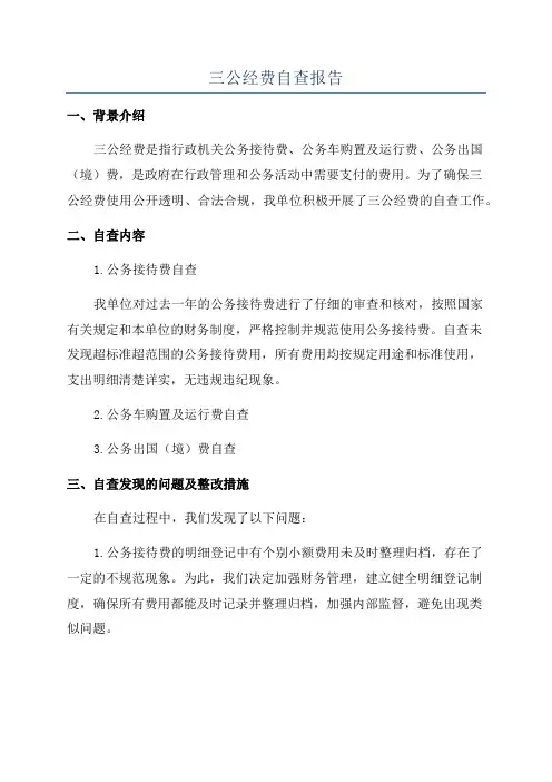 三公经费自查报告