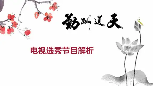 电视选秀节目解析