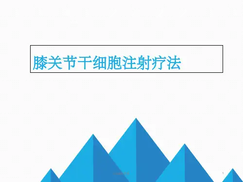 膝关节干细胞注射疗法ppt课件