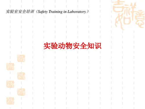 实验动物安全知识