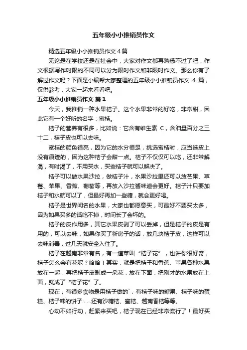 精选五年级小小推销员作文4篇