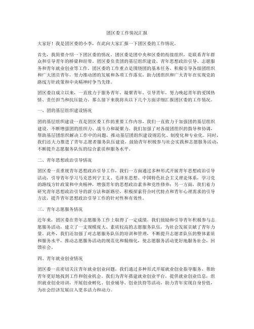 团区委工作情况汇报