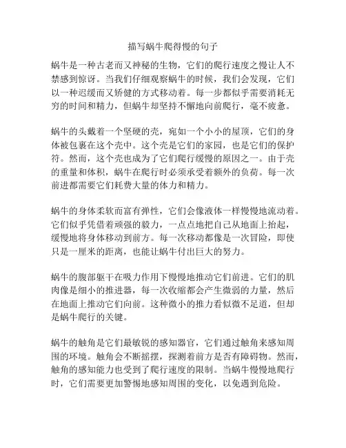 描写蜗牛爬得慢的句子