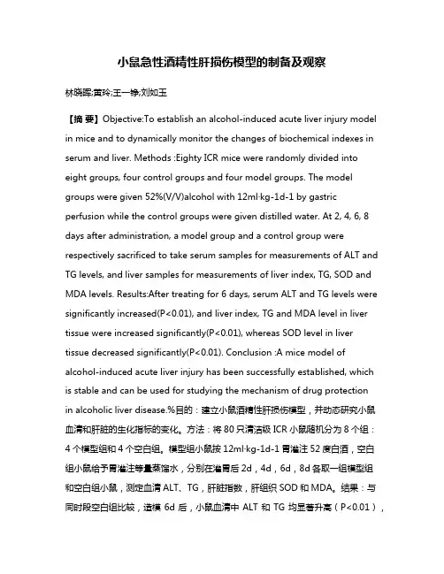 小鼠急性酒精性肝损伤模型的制备及观察