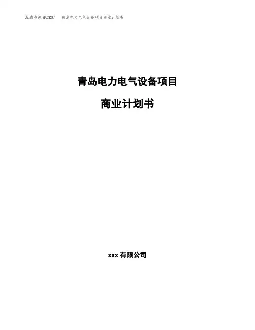 青岛电力电气设备项目商业计划书