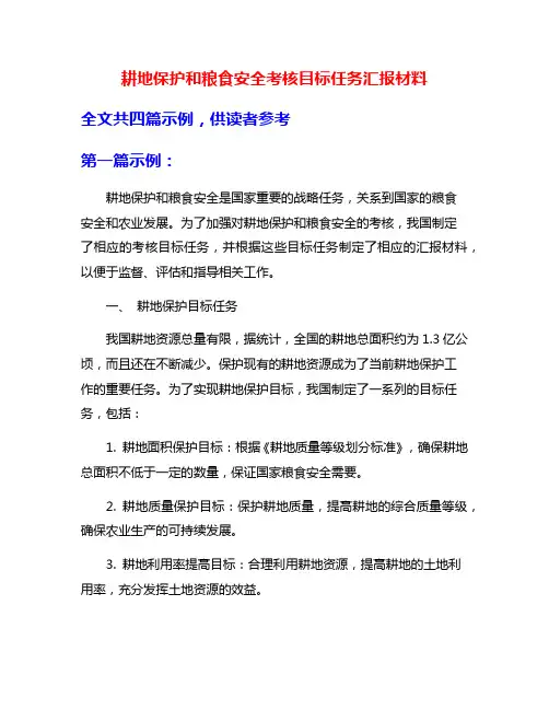 耕地保护和粮食安全考核目标任务汇报材料
