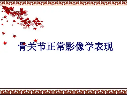 骨关节正常影像学表现