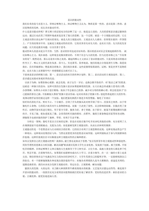 意识的能动性