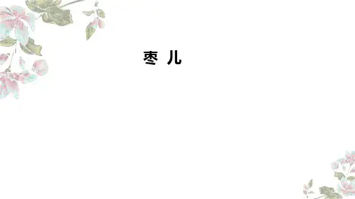 《枣儿》ppt课件