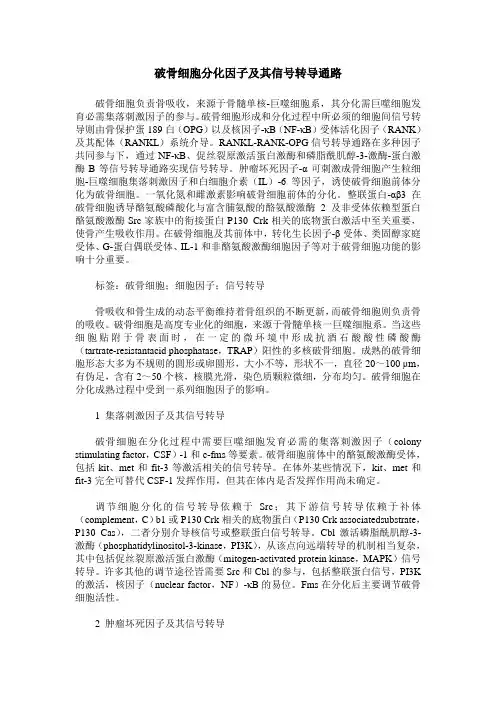 破骨细胞分化因子及其信号转导通路