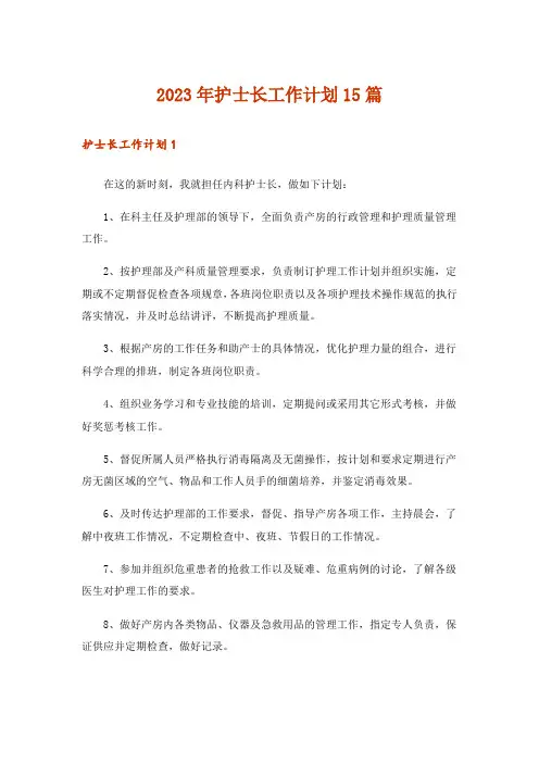 2023年护士长工作计划15篇