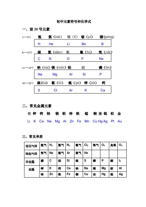 初中元素符号和化学式