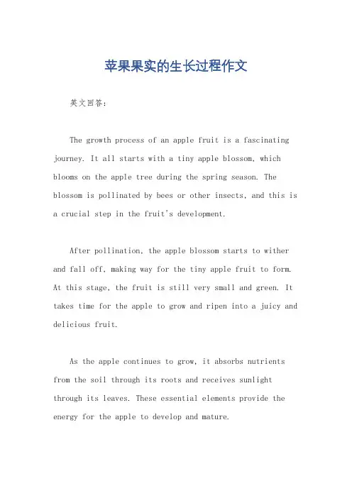 苹果果实的生长过程作文