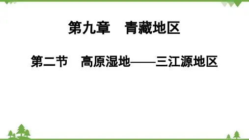 人教版地理八年级下册第九章 第二节 高原湿地——三江源地区 习题课件(共17张PPT)