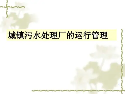 城市污水处理厂的运行(参考课件)