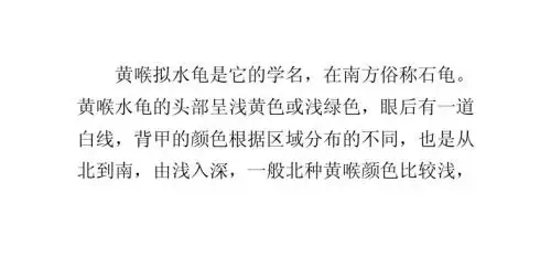 黄喉拟水龟养殖技术