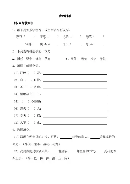 我的四季 同步练习附答案