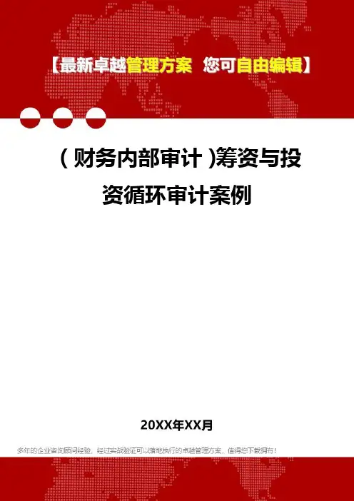 2020年(财务内部审计)筹资与投资循环审计案例