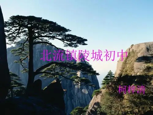 犟龟PPT课件52 语文版 (共14张PPT)