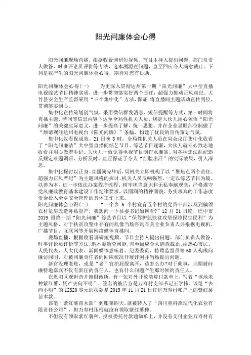 阳光问廉体会心得
