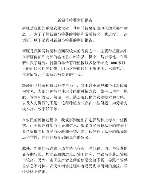 新疆马铃薯调研报告