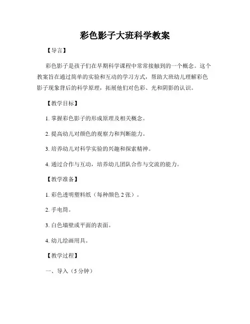 彩色影子大班科学教案
