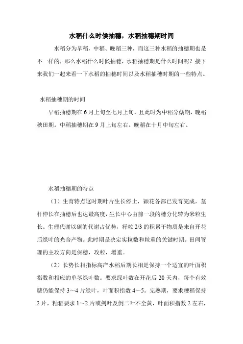 水稻什么时候抽穗,水稻抽穗期时间.doc