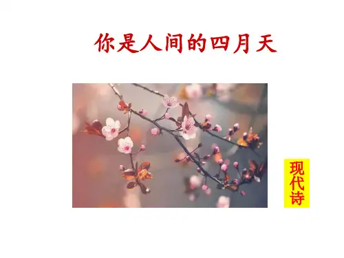 《你是人间的四月天》PPT课件-完美版