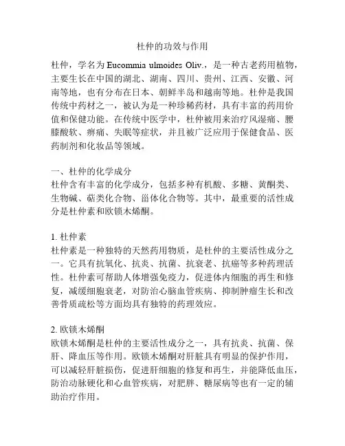 杜仲的功效与作用