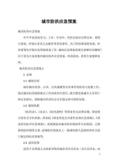 城市防洪应急预案