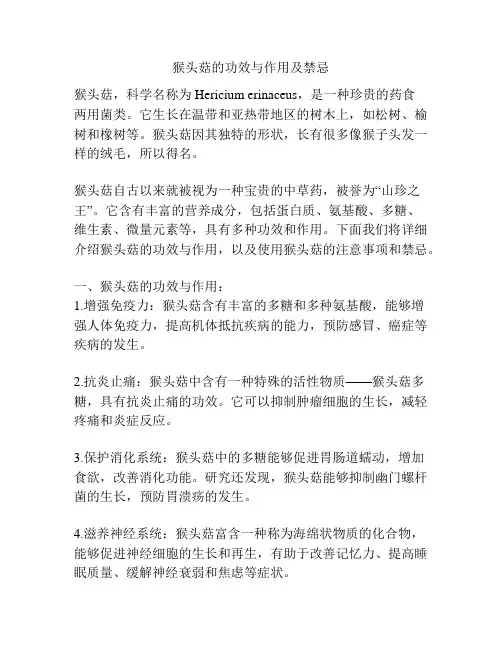 猴头菇的功效与作用及禁忌