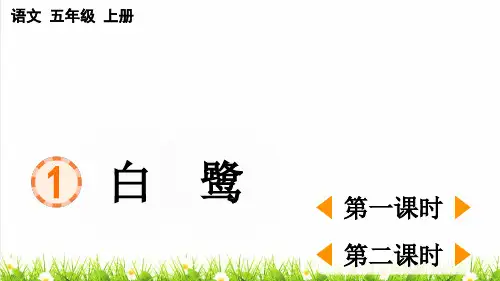 人教部编版五年级语文上册第一单元第1课《白鹭》上课课件