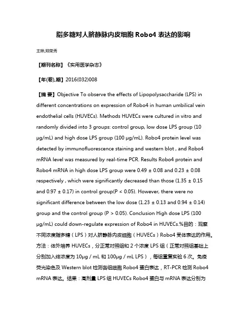 脂多糖对人脐静脉内皮细胞Robo4表达的影响
