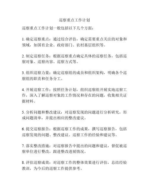 巡察重点工作计划