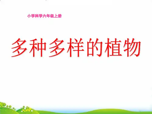 【教科版】科学《多种多样的植物》PPT-全文课件1