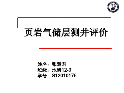 页岩气测井评价