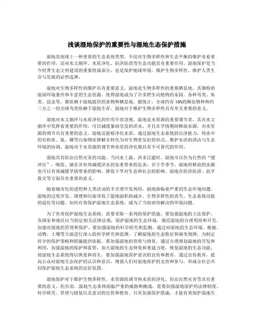 浅谈湿地保护的重要性与湿地生态保护措施