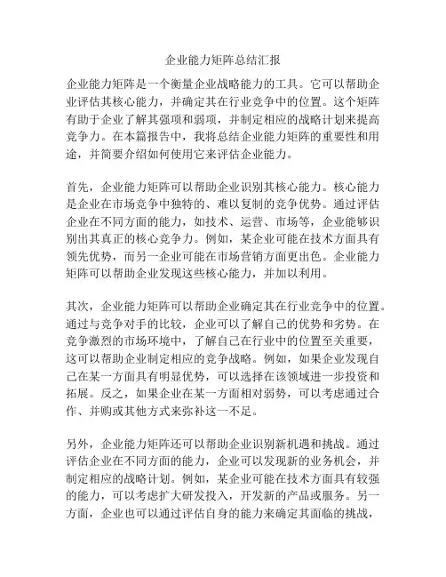 企业能力矩阵总结汇报