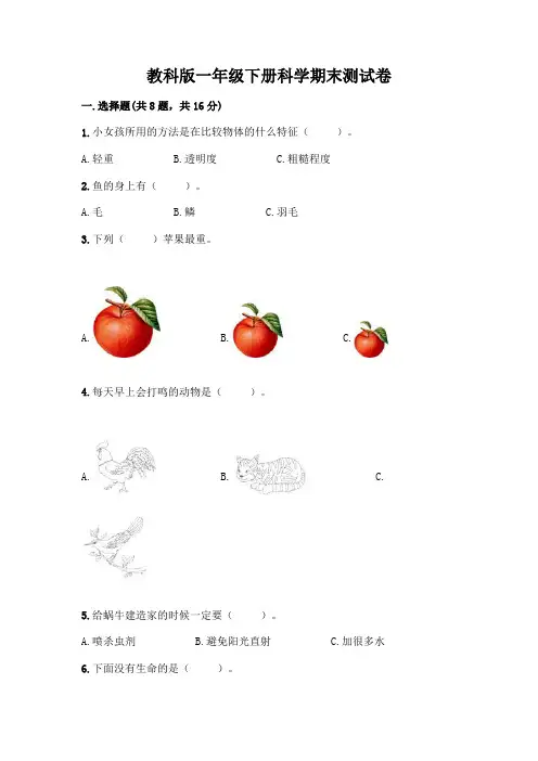教科版一年级下册科学期末测试卷及答案解析