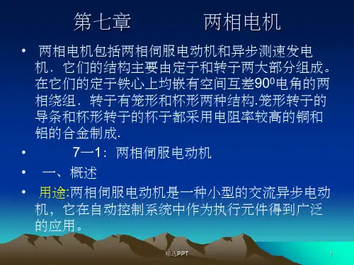 《两相电机》PPT课件