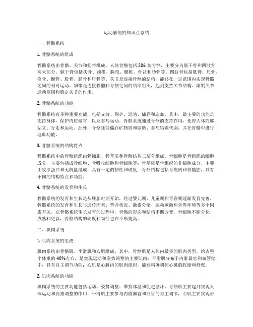 运动解剖的知识点总结