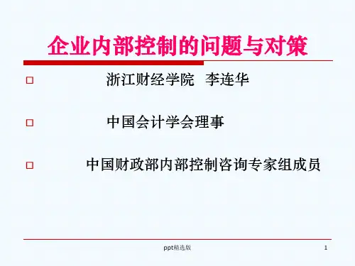 企业内部控制存在的问题与对策ppt课件
