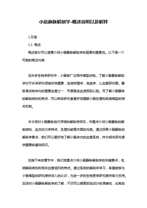 小鼠静脉解剖学-概述说明以及解释