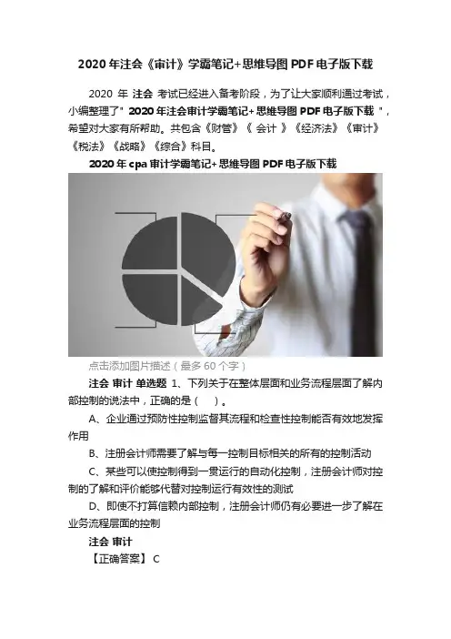 2020年注会《审计》学霸笔记+思维导图PDF电子版下载